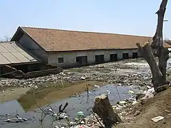 Submerged school