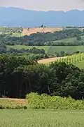 Rabas - panorama