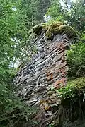 North wall