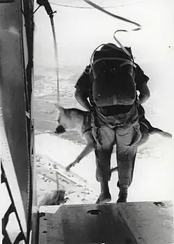 A marine and dog, leaping out of a plane