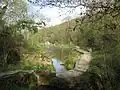 Millpond