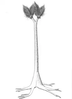 Restoration