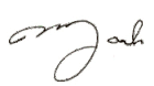 Mark S. Hanson's signature
