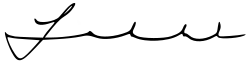 Cursive signature in ink