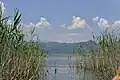 Lake Skadar, Montenegro
