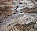 Slickensides on a fault plane in Corona Heights Park, San Francisco