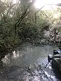 A small pond in the national park.