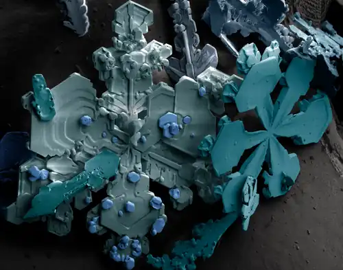 Snow flakes (November 2009)