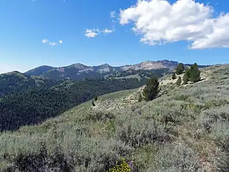 A photo of the Soldier Mountain viewed from the north in summer