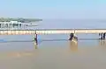 The Old South Bassein Creek Railway Bridge