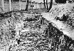 A mass grave