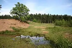 Spalford Warren