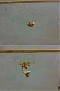 Top frame: The victor may be delivering another bite to its wrapped opponent; Bottom frame: The victor climbs up its dragline, dragging the wrapped victim behind using one of its hind legs