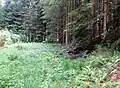 Meadow 1 Mass Grave