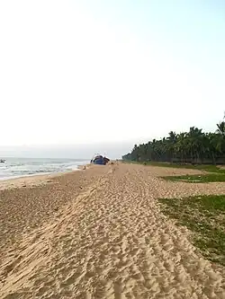 St. Andrews Beach