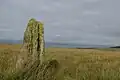 Machrie Moor 7