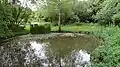 Stanmore Country Park