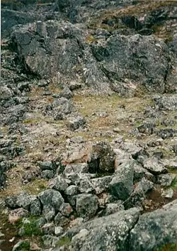 Stone trap