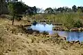 Strijbeek Heath