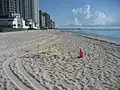 Sea turtle nest cone protected in 2010.