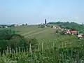 Sveti Urban