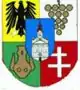 Coat of arms of Svodín