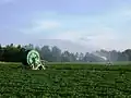 Hose irrigation