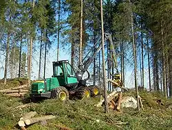 Mechanical harvester at work