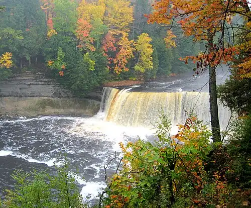 During Autumn
