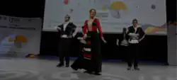 Team Georgia performing at cultural night in 2024