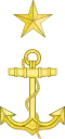 Texas Navy Passed Midshipman Insignia