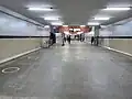 Subway underneath the platforms.
