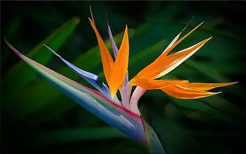 Kolkata, India