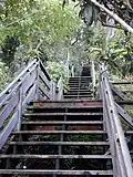 The Filbert Street Steps, Telegraph Hill