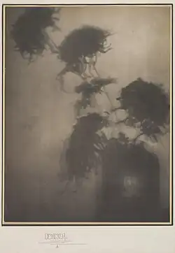 The Shadows on the Wall (Chrysanthemums), c.1906