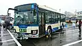 ERGA Non-Step 2KG-LV290N2