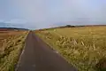 Remote road in the flow country