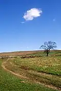Between Catlow and New House farms