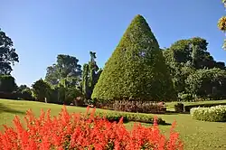 Flower garden