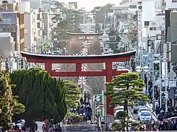 The sandō at Tsurugaoka Hachimangū, Kamakura
