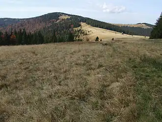 Turbacz and Hala Długa ("the long alp")