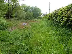 Turners Hill