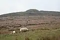 Twmbarlwm from Mynydd Henllys
