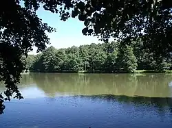 Park Łabędzi