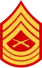 E-8 insignia