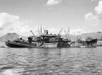 USS Kenneth Whiting (AV-14)