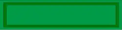 1st Special Forces, 10th Special Forces Group Recognition Bar