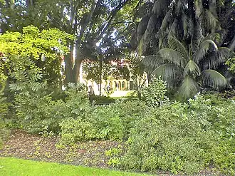 The Geology building seen through the Grove