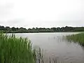Uddelermeer