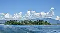 westerly view of Ufenau island as seen from ZSG ship MS Helvetia
